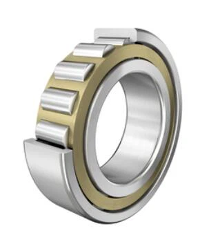 NJ330-E-XL-M1-F1-C4 Bearing